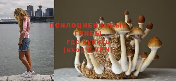 мяу мяу мука Бородино