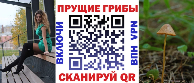 Псилоцибиновые грибы прущие грибы где купить Тольятти